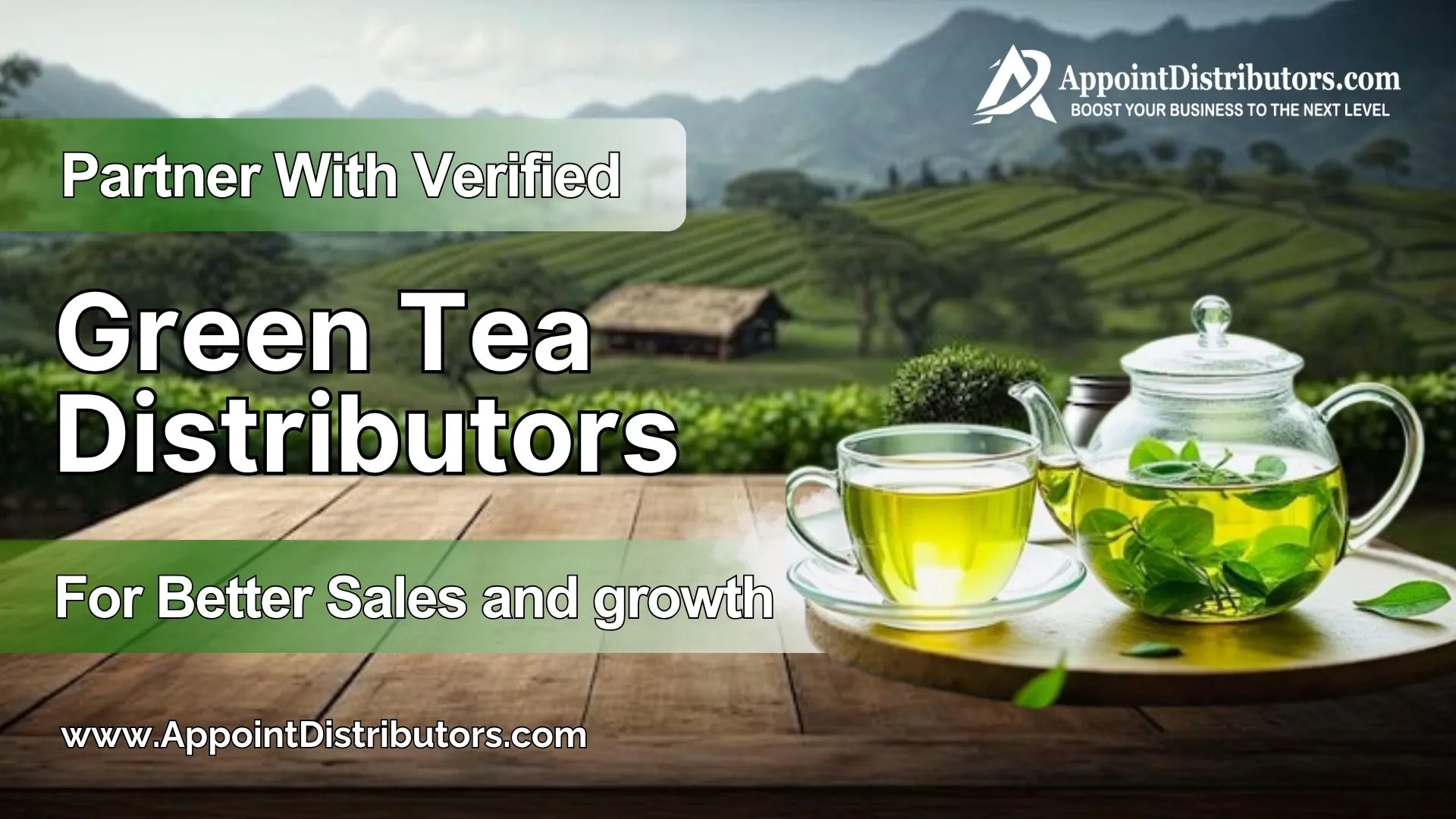 Partner With Verified Green Tea Distributors for Better Sales and growth