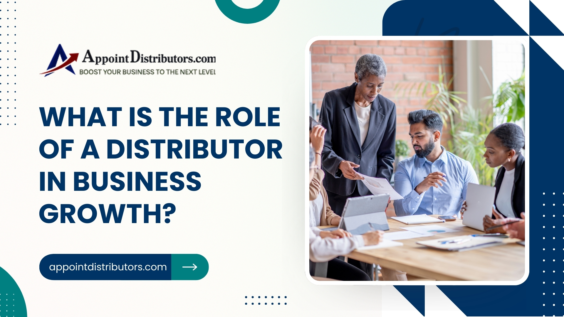 What Is the Role of a Distributor in Business Growth?