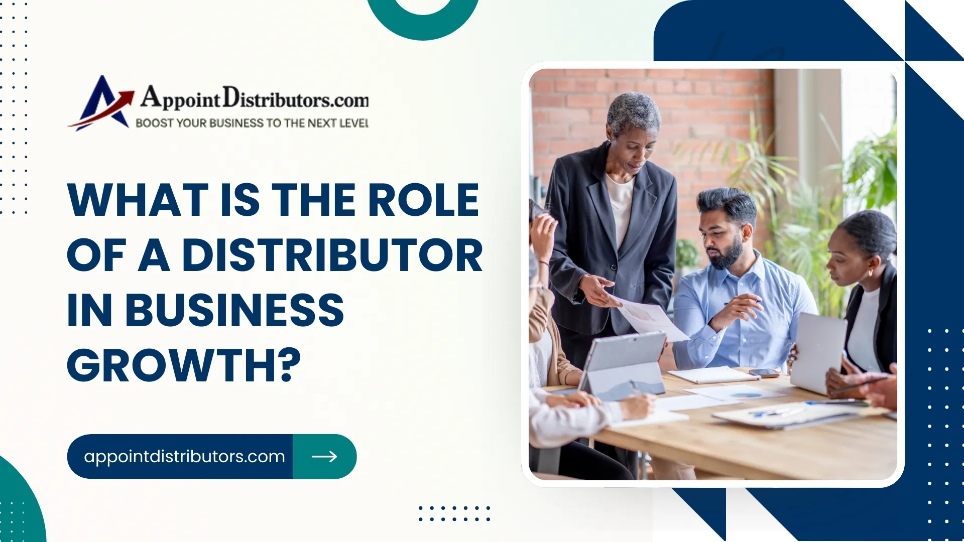 What Is the Role of a Distributor in Business Growth?