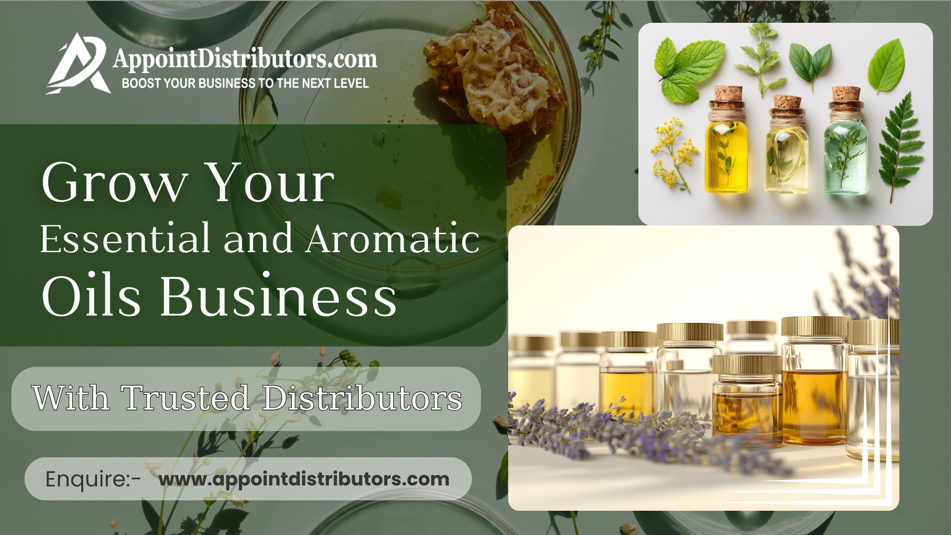 Grow Your Essential and Aromatic Oils Business with Trusted Distributors