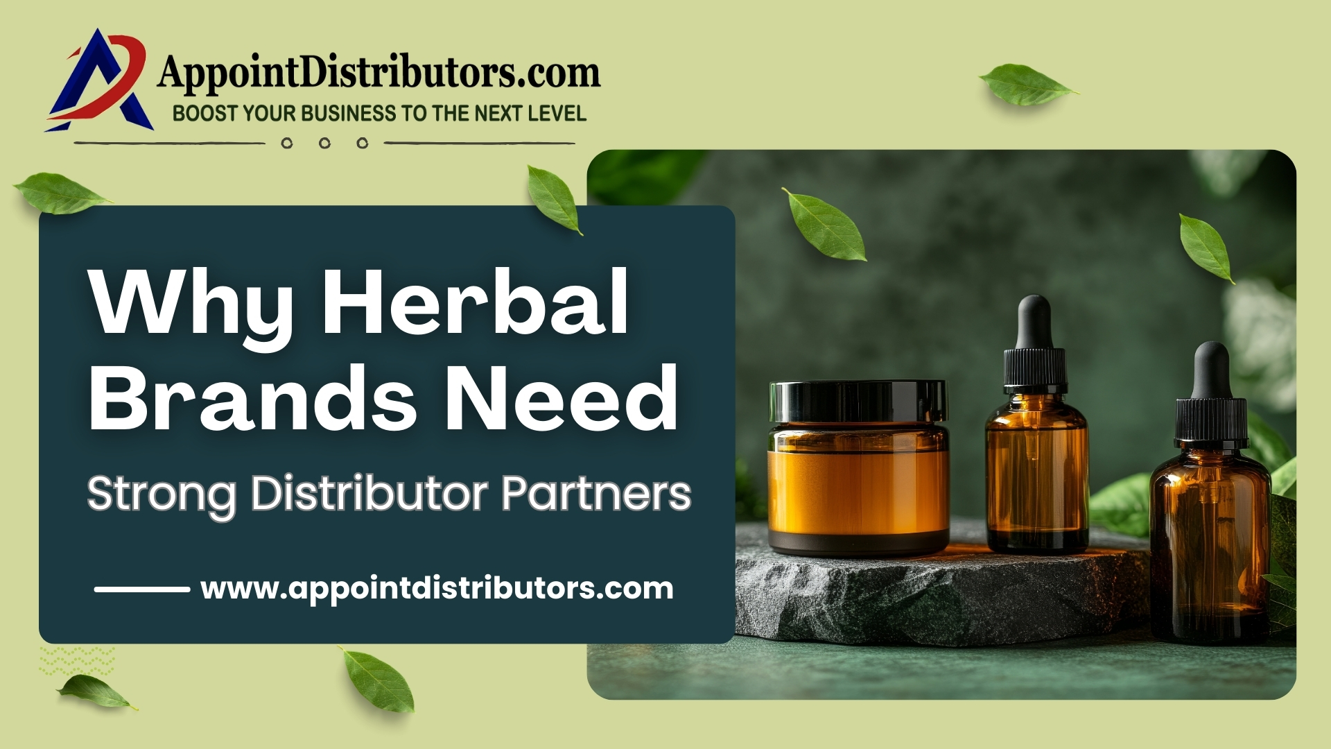 Why Herbal Brands Need Strong Distributor Partners