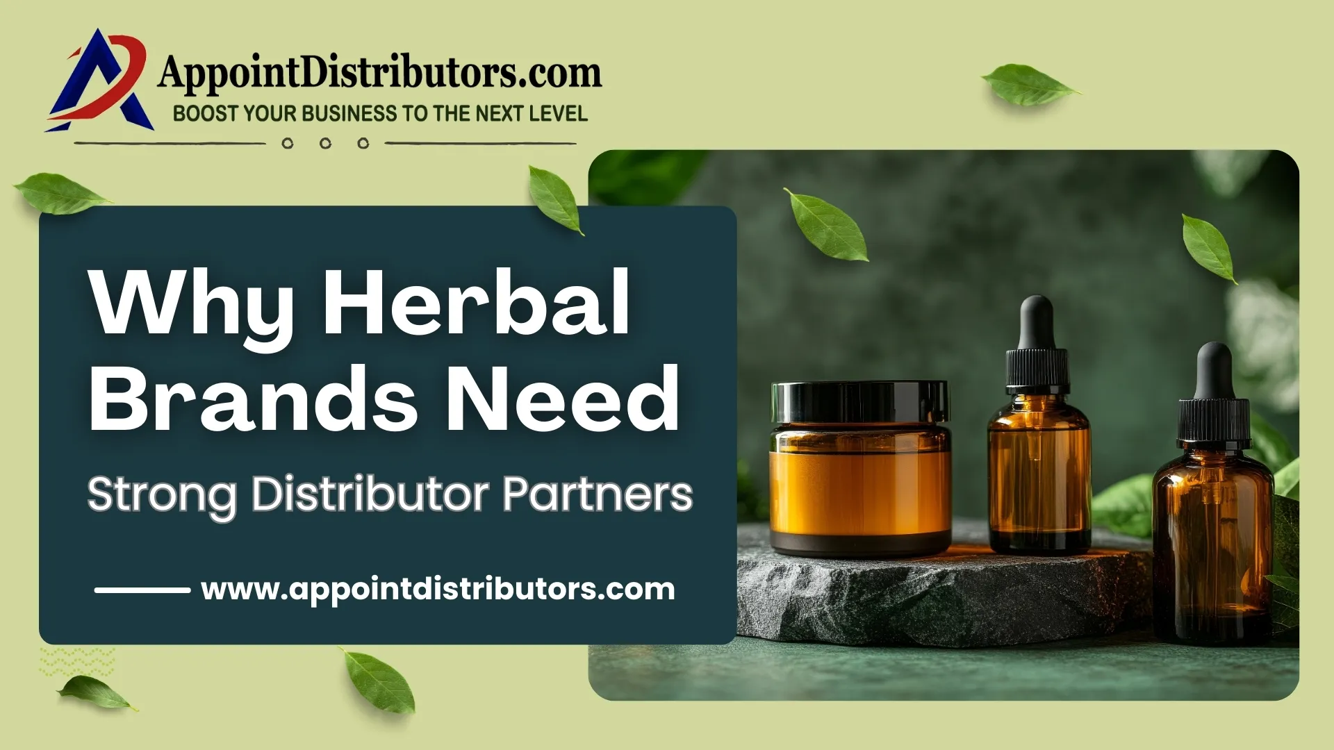 Why Herbal Brands Need Strong Distributor Partners