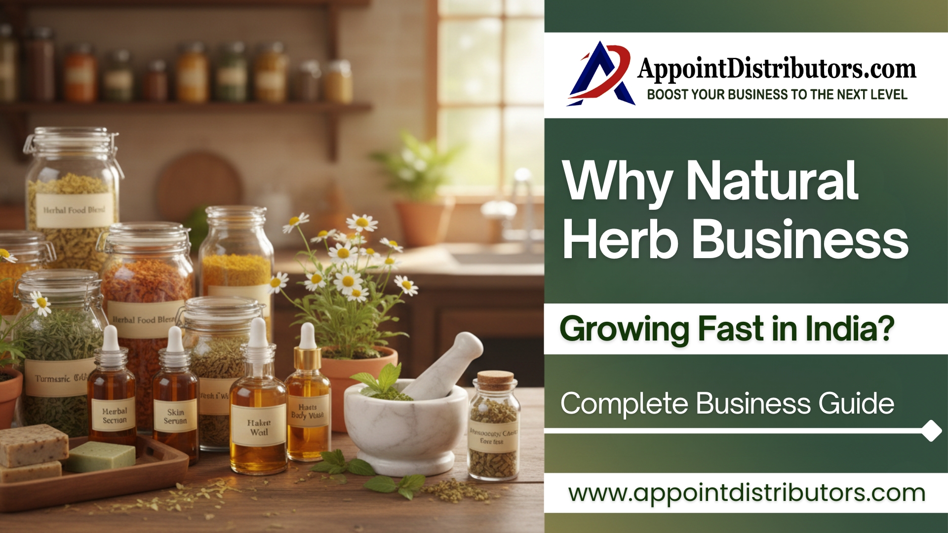 Why Natural Herb Business Growing Fast in India? Complete Business Guide